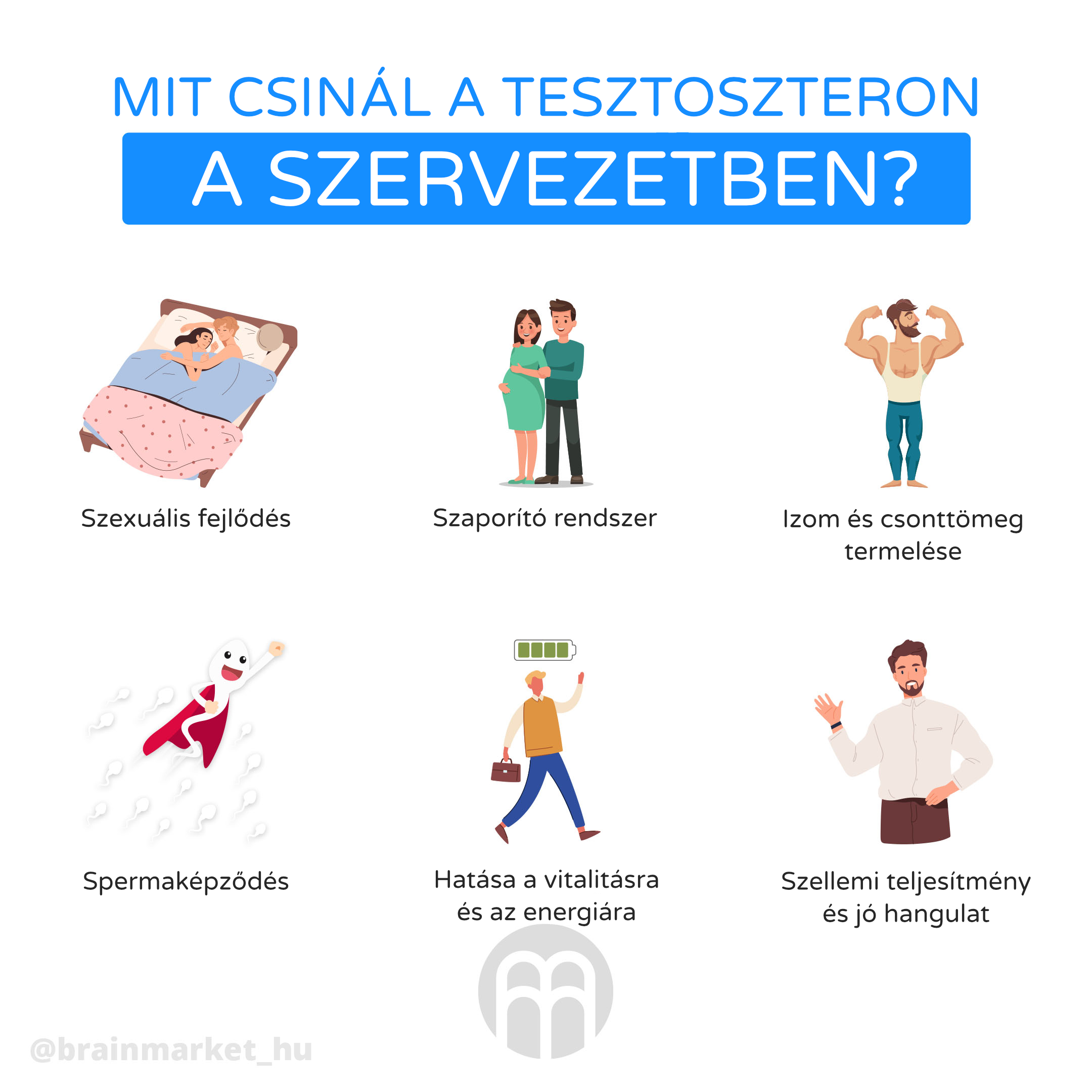 Co ma v tele na starost testosteron_hu